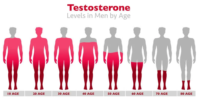 Leeftijd en dalend testosteron