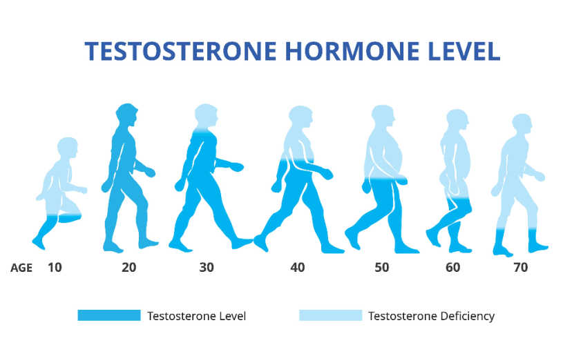 Testosteron leeftijd